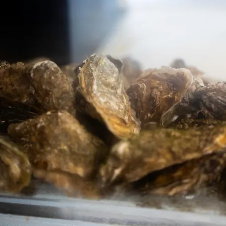 호텔 뒤 커머스 4*