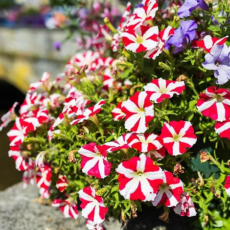 뒤 커머스 호텔 4*