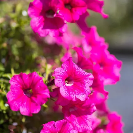 호텔 뒤 커머스 4*