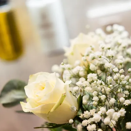 호텔 뒤 커머스 호우팔리제