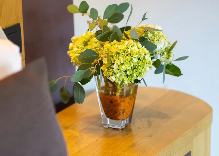 Du Commerce Hotel 4*