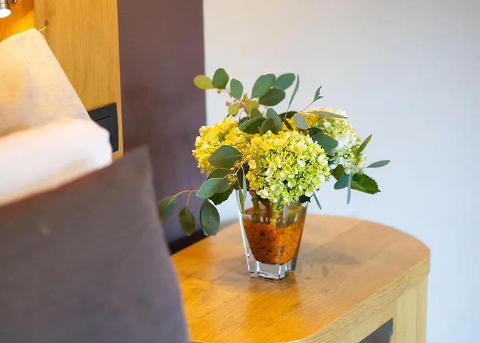 Du Commerce 4* Houffalize