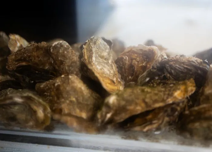 Hotel Du Commerce 4*