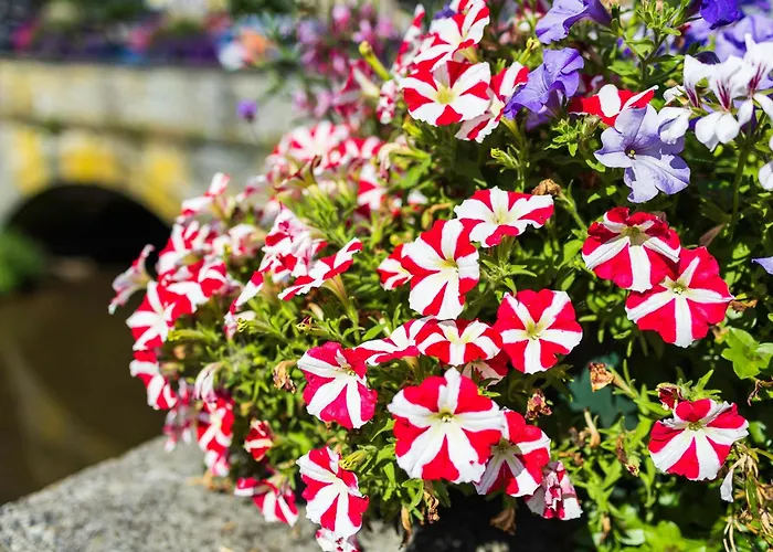 Du Commerce Hotel 4*