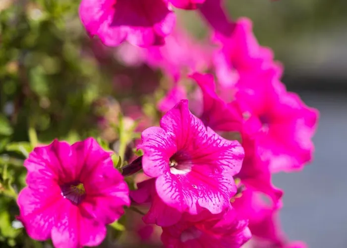 Hotel Du Commerce 4*