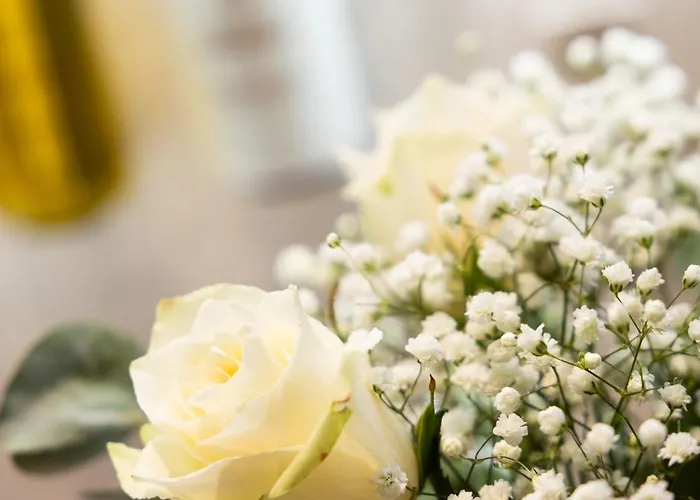 ホテル Du Commerce ホッファライズ